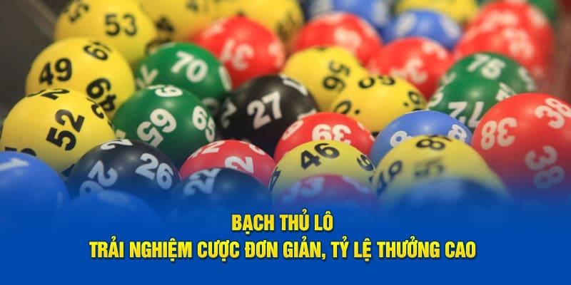 Bạch thủ lô trải nghiệm cược đơn giản tỉ lệ thưởng cao