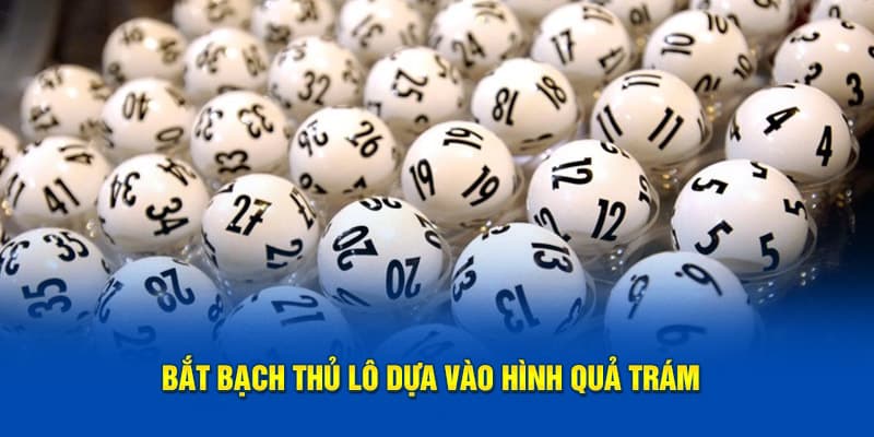 Bắt bạch thủ lô dựa vào hình quả trám