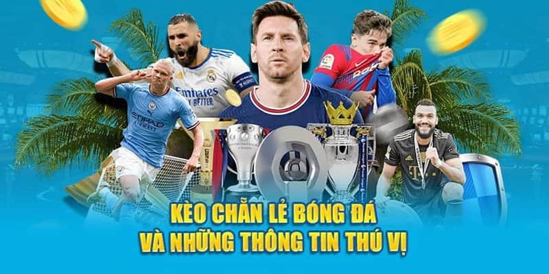 Thông tin các mức cược E/O ấn tượng