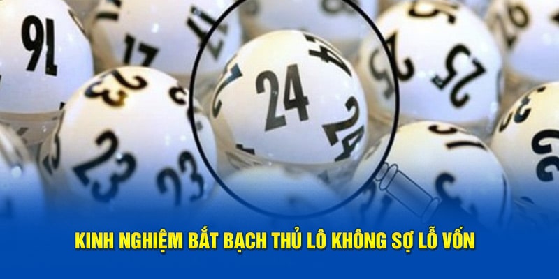 Bí kíp bắt bạch thủ lô không sợ lỗ vốn